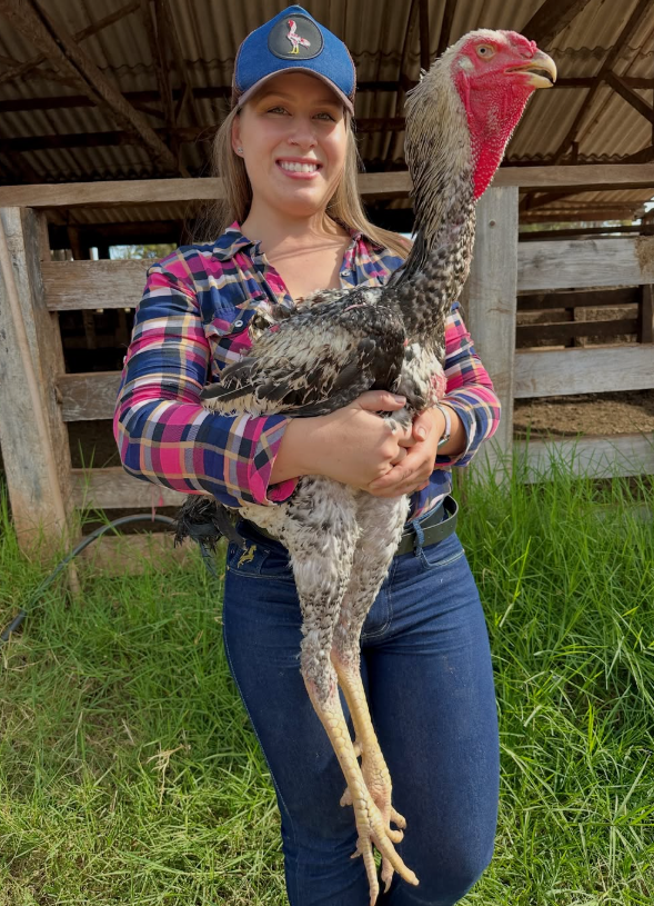 Huevos fértiles Indio Gigante