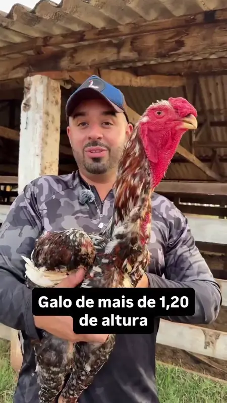 De cerca, en el criadero